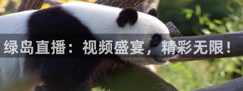 蓝鲸体育直播在线观看：绿岛直播：视频盛宴，精彩无限！