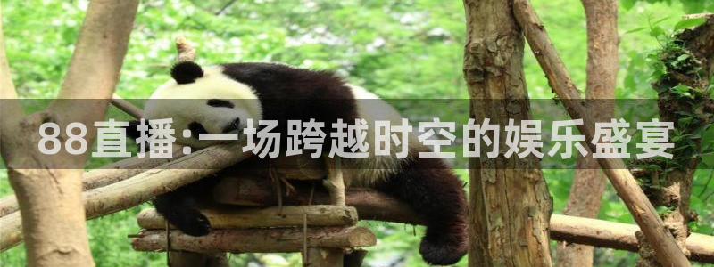 大蓝鲸：88直播:一场跨越时空的娱乐盛宴