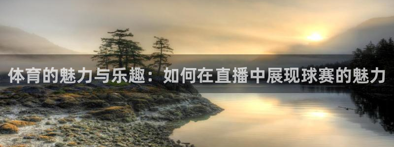 蓝鲸新闻：体育的魅力与乐趣：如何在直播中展现球赛的魅力