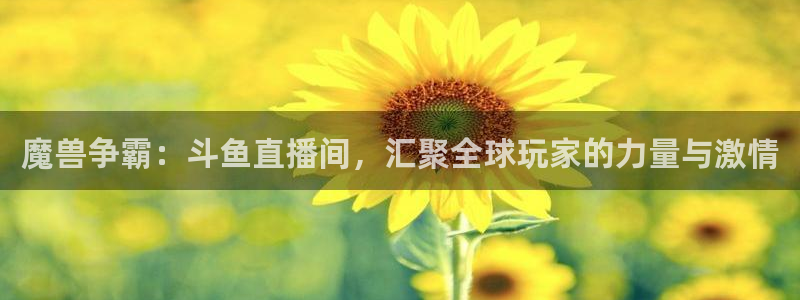 蓝鲸同志直播