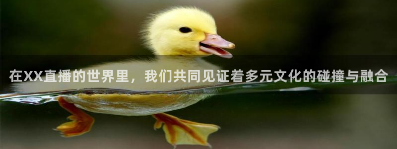 大蓝鲸直播间：在XX直播的世界里，我们共同见证着多元文化的碰撞与融合