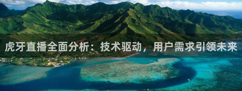蓝鲸体育直播下载：虎牙直播全面分析：技术驱动，用户需求引领未来