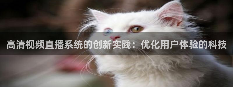 蓝鲸直播 app下载：高清视频直播系统的创新实践：优化用户体验的科技