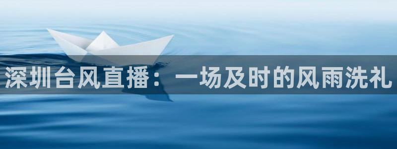 直播蓝鲸：深圳台风直播：一场及时的风雨洗礼