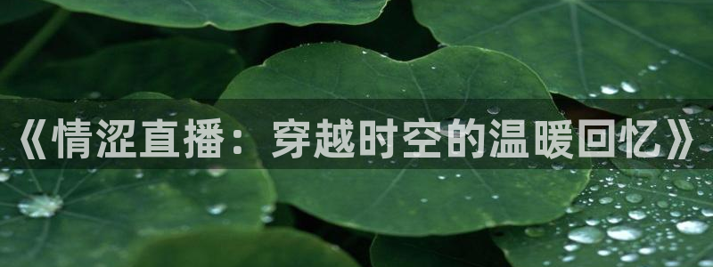 蓝鲸直播app ios：《情涩直播：穿越时空的温暖回忆》